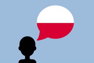 Polish to English translation services